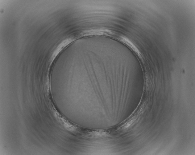 X0000073890994200609011648