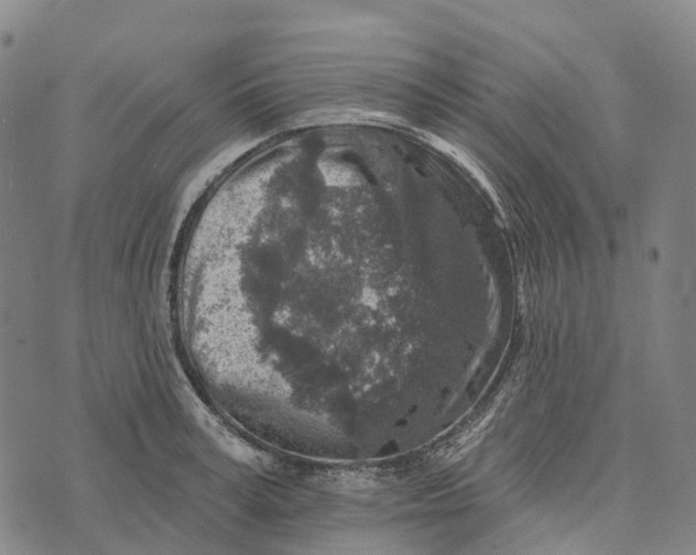 X0000073890995200609011648