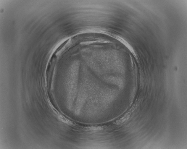 X0000073890996200609011648