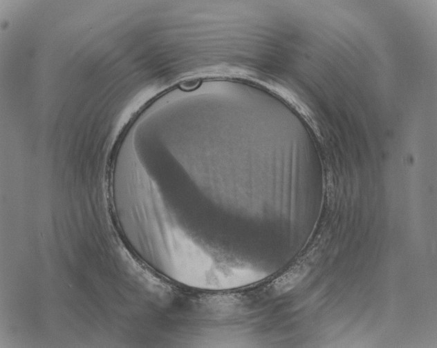 X0000073890998200609011648