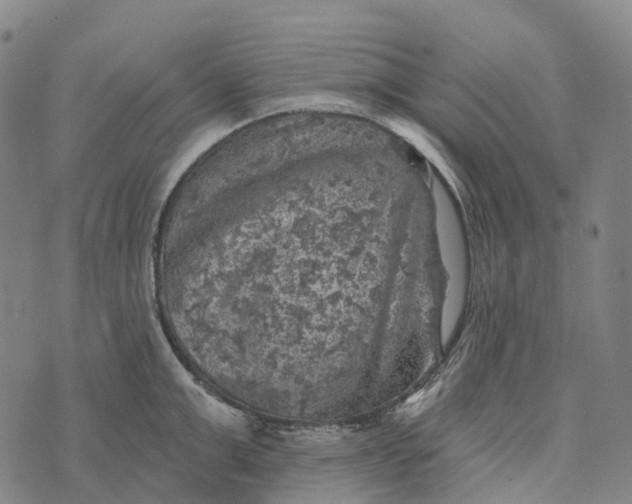 X0000073890999200609011648