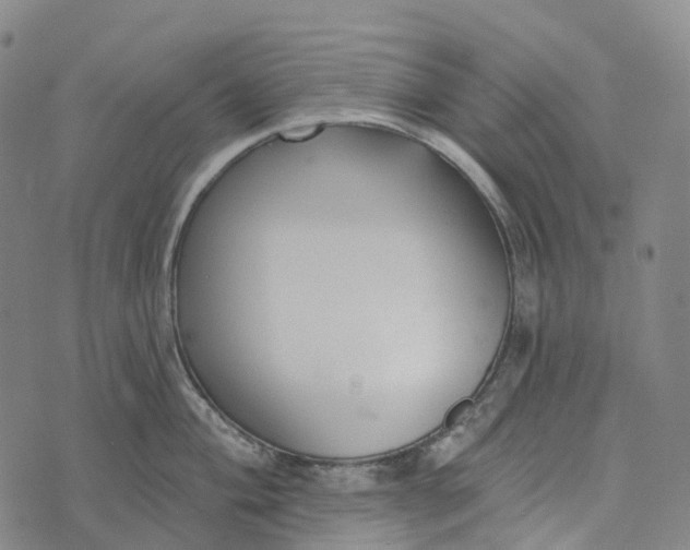 X0000073891004200609011648