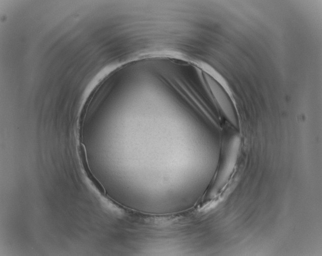 X0000073891005200609011648