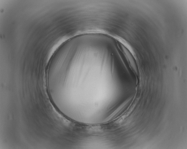 X0000073891006200609011648