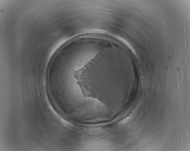 X0000073891007200609011648