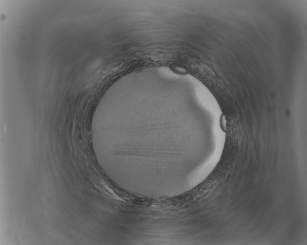 X0000073891009200609011647