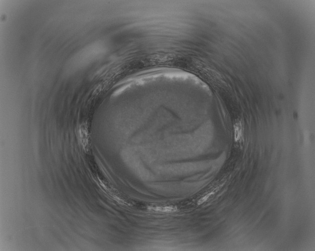 X0000073891011200609011648