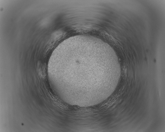 X0000073891012200609011648