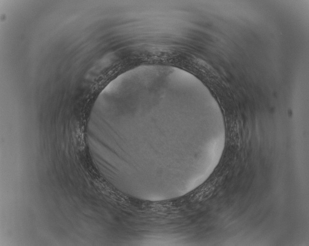 X0000073891013200609011648