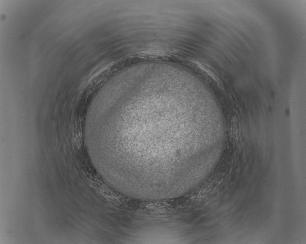 X0000073891015200609011648