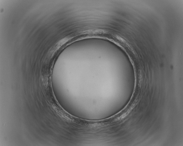 X0000073891017200609011648