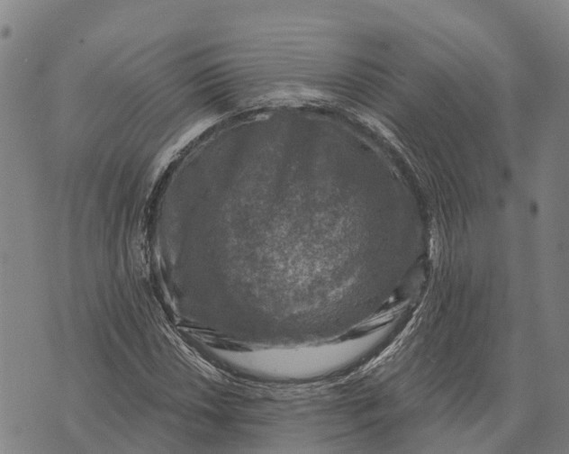 X0000073891018200609011648