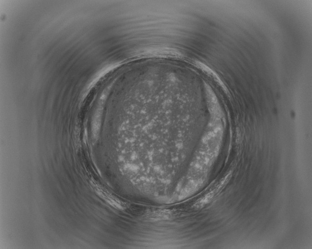 X0000073891019200609011648