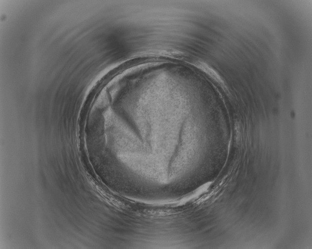 X0000073891020200609011648