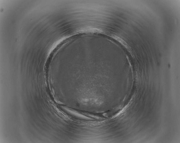 X0000073891022200609011648