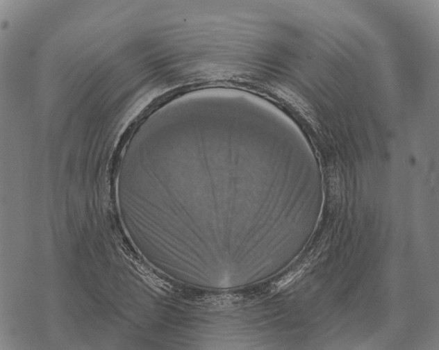 X0000073891023200609011648