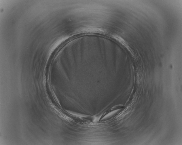 X0000073891024200609011648