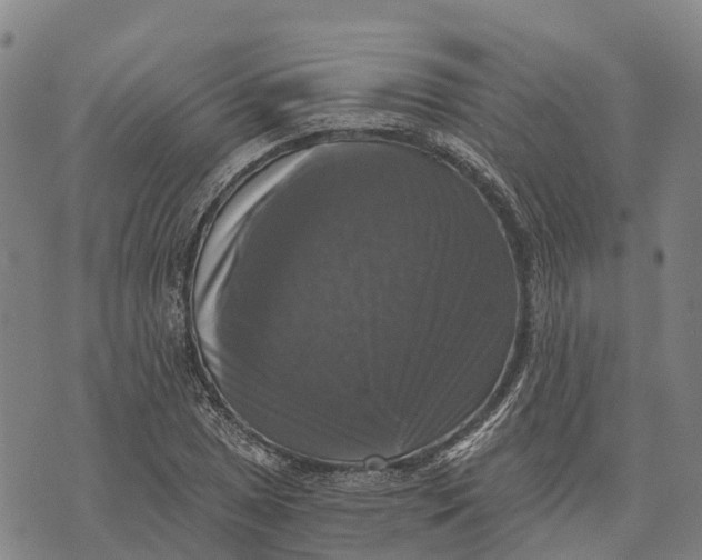 X0000073891025200609011648