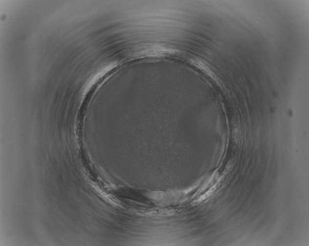 X0000073891026200609011648