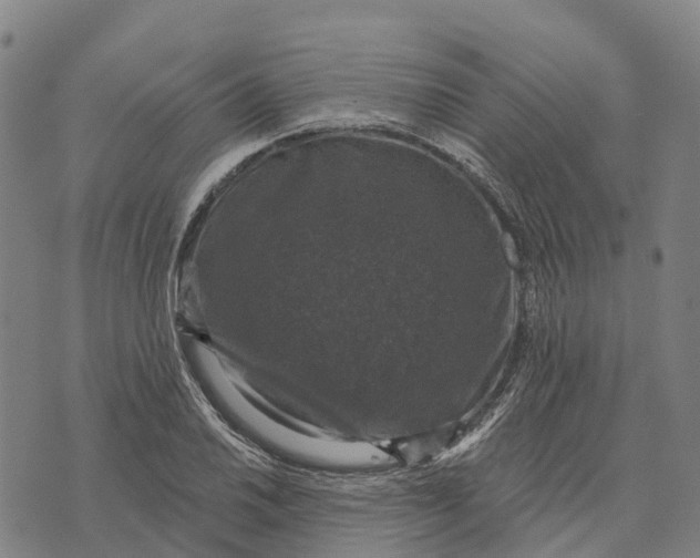 X0000073891030200609011648