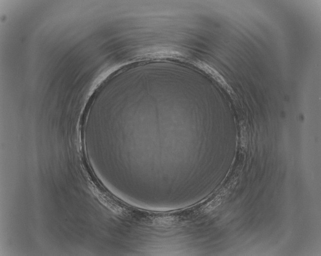 X0000073891031200609011648