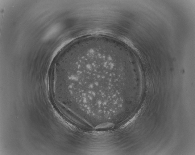 X0000073891032200609011648