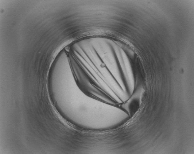 X0000073891034200609011648