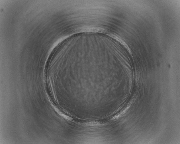 X0000073891037200609011648