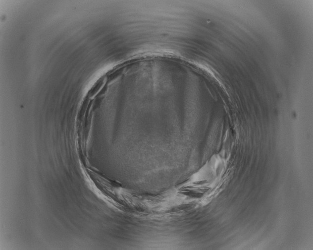 X0000073891038200609011648