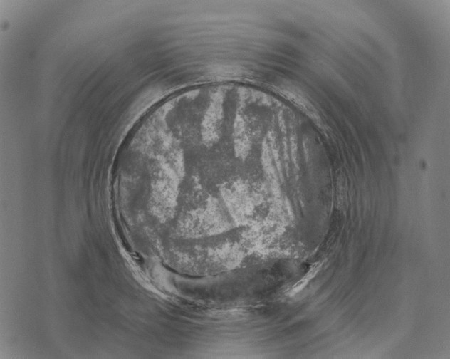 X0000073891039200609011648