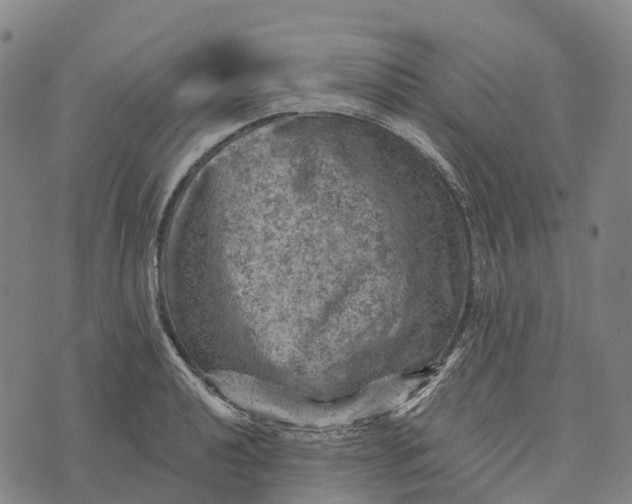 X0000073891040200609011648