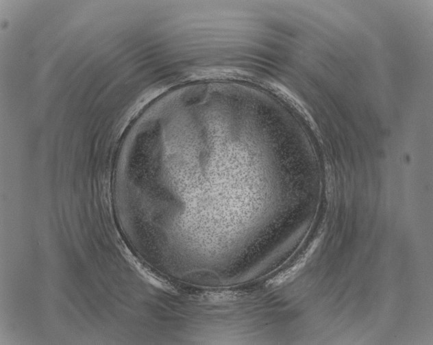 X0000073891041200609011648