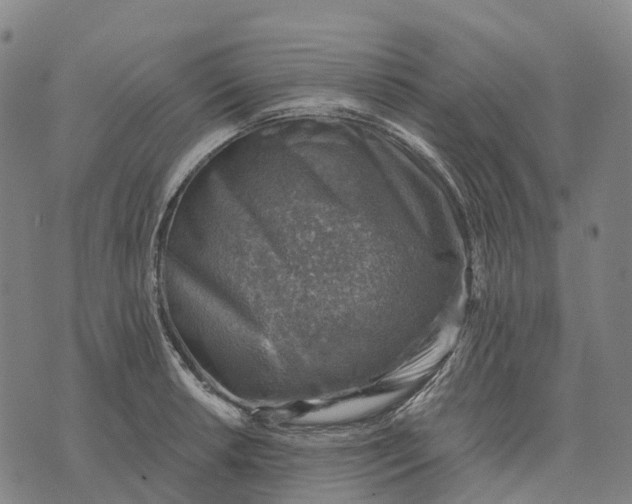 X0000073891042200609011648