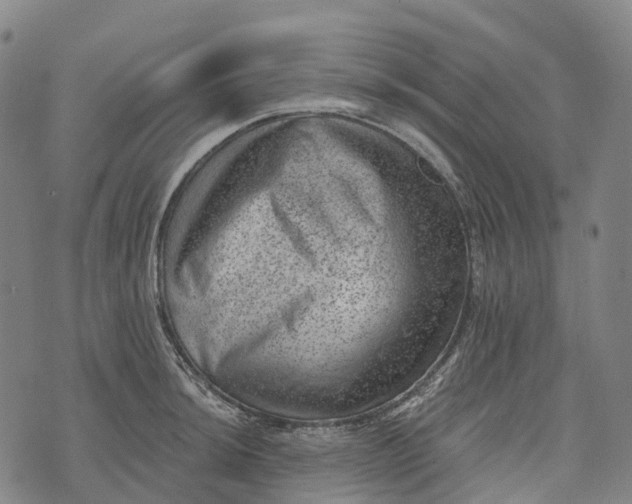 X0000073891044200609011648