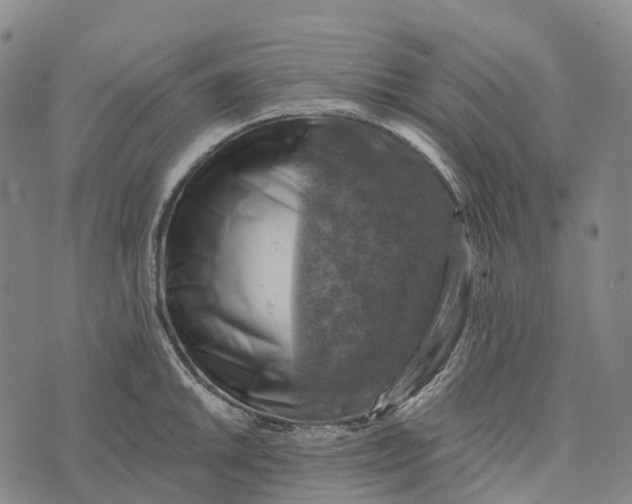 X0000073891046200609011648