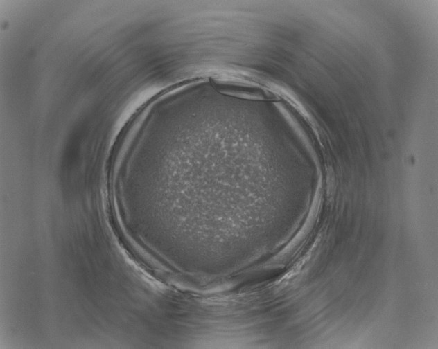 X0000073891048200609011648