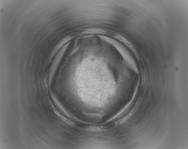 X0000073891049200609011648