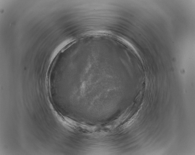 X0000073891050200609011648