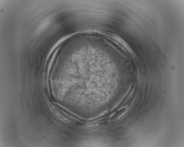 X0000073891052200609011648