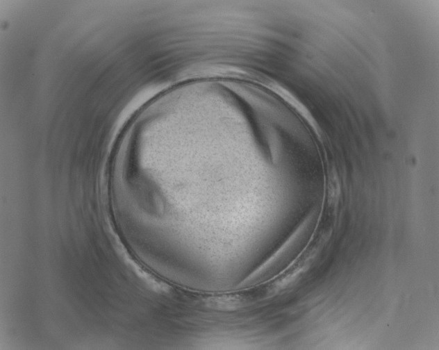 X0000073891053200609011648