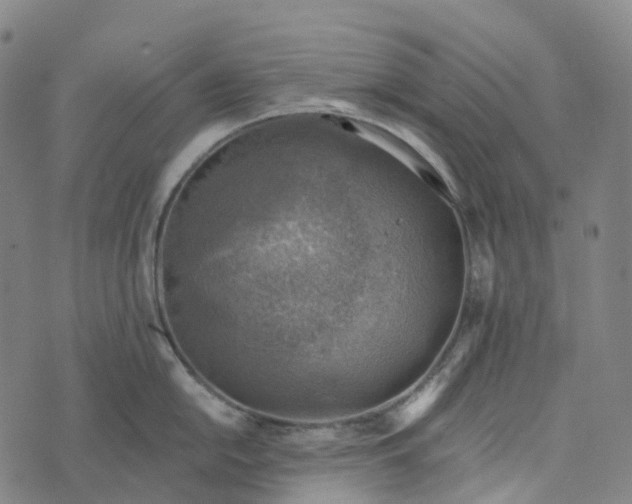 X0000073891054200609011648