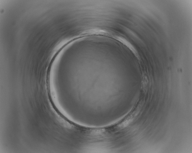 X0000073891055200609011648