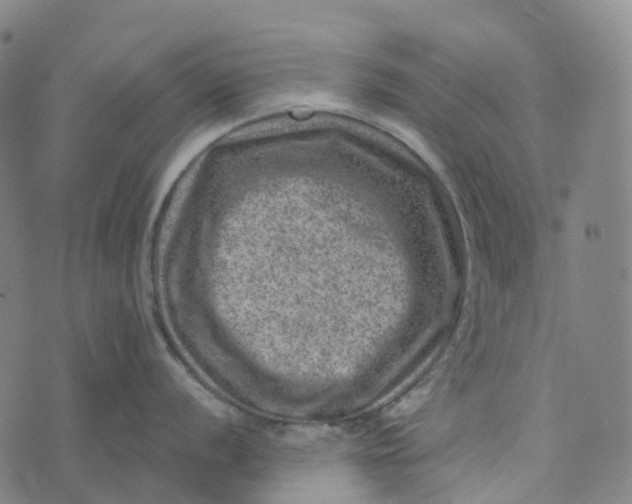 X0000073891056200609011648