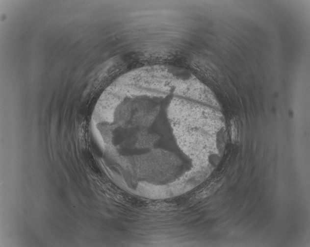 X0000073891059200609011647