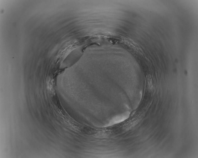 X0000073891060200609011647