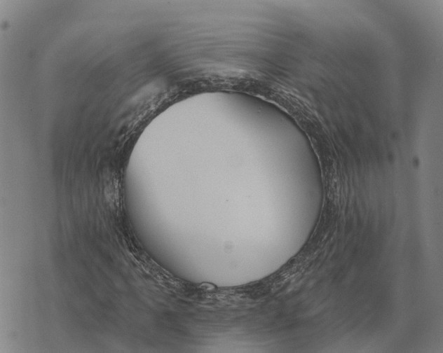 X0000073891061200609011647