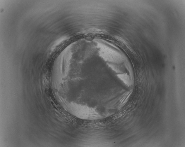 X0000073891063200609011647