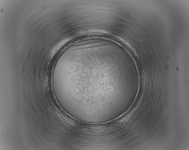 X0000073891066200609011647