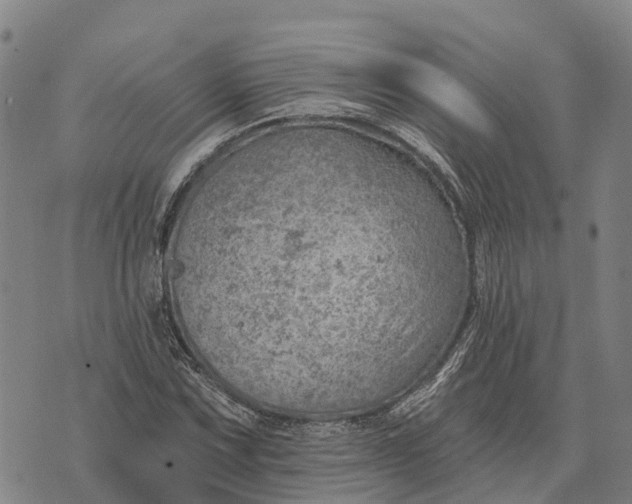 X0000073891067200609011647