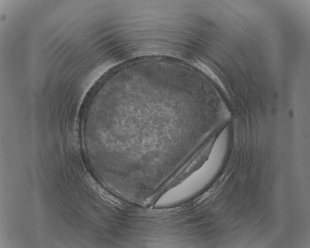 X0000073891068200609011647